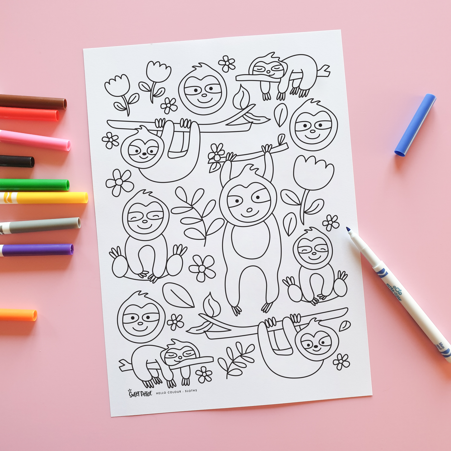 Hello Colour - Sloths
