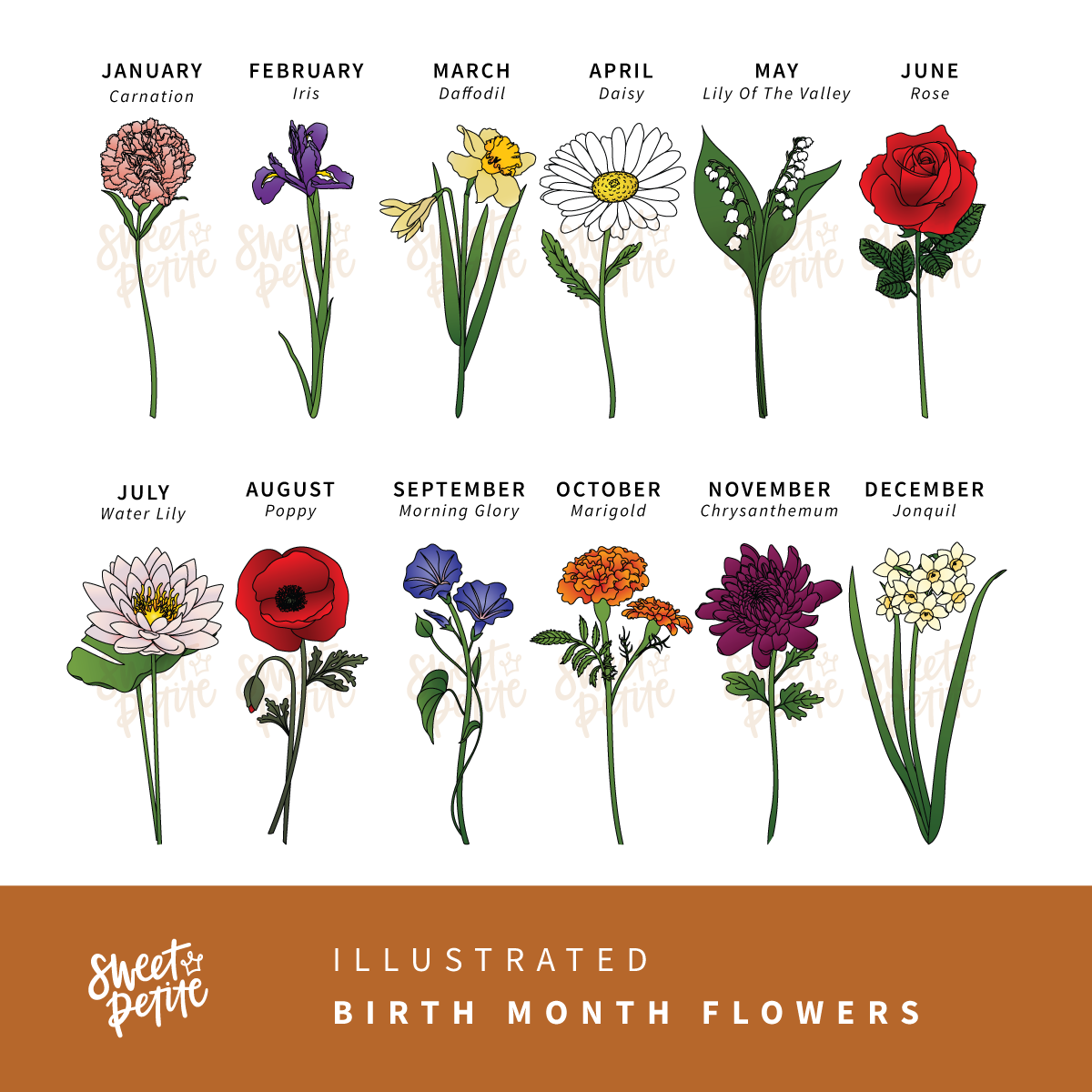 our family bunch (modern, coloured flowers)