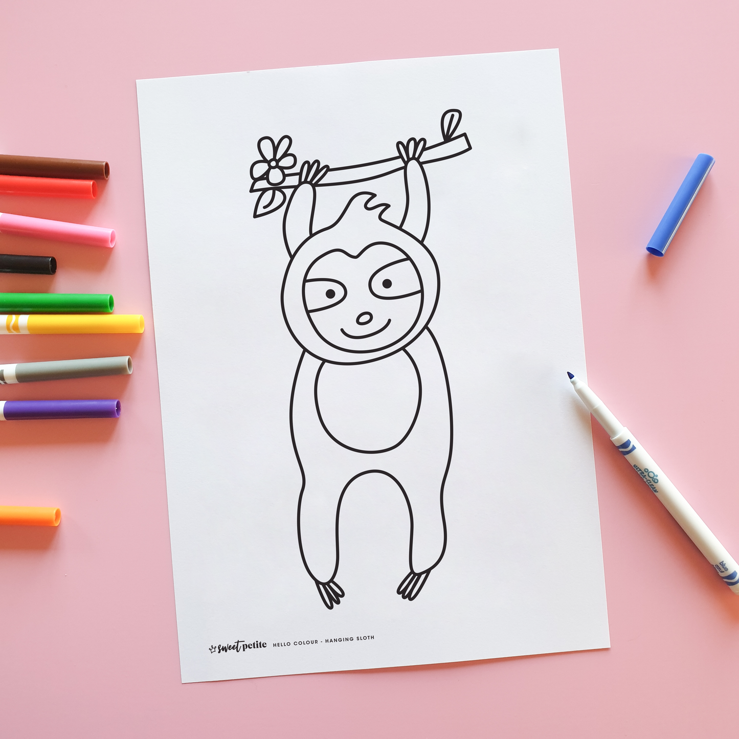 Hello Colour - Hanging Sloth