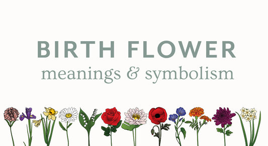 Birth Flower Meanings and Symbolism